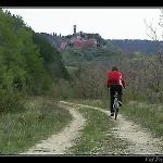 Letizia *
