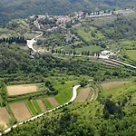 Letizia Vila *
