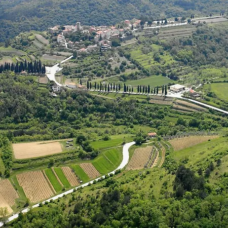 Letizia Villa *