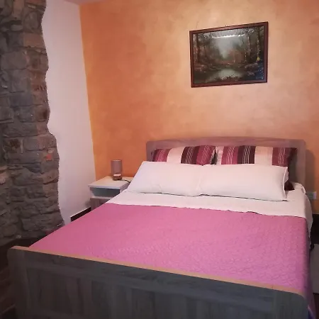 Letizia Villa *