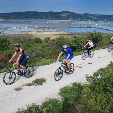 Letizia Villa Oprtalj